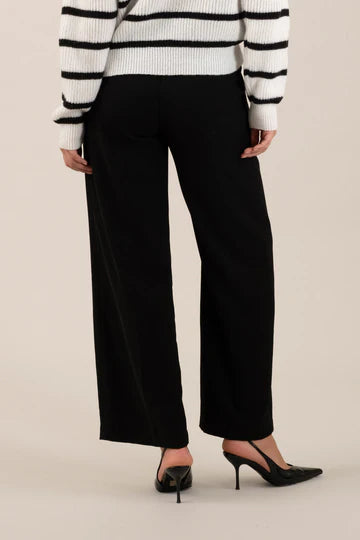 Wide Leg Pleated Dress Pants