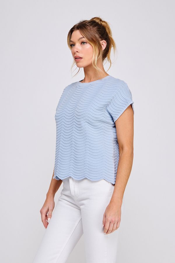 Scallop Pattern Knit Top